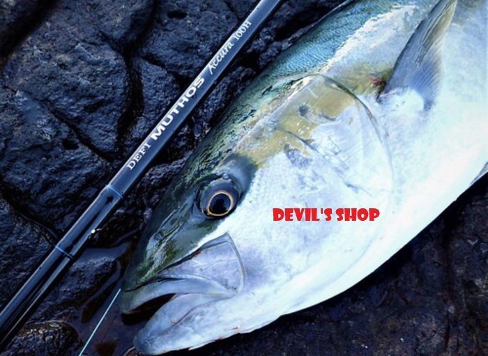 ZENAQ DEFI MUTHOS ACCURA 100H K珠版岸拋青物竿| Yahoo拍賣