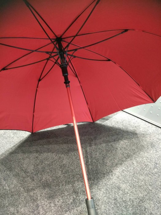 Porsche 保時捷原廠MARTINI RACING 精品雙面雨傘| Yahoo拍賣