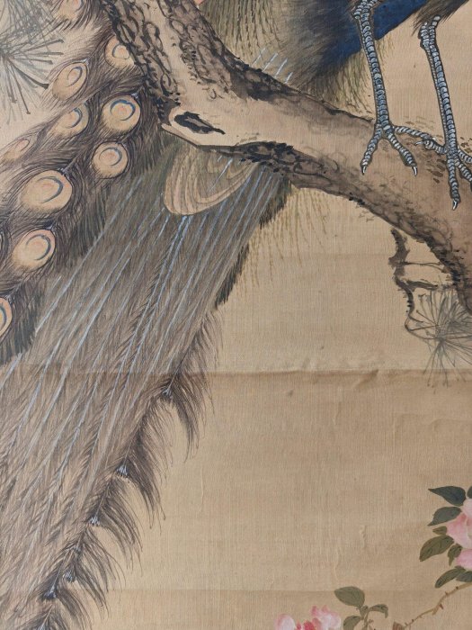 頼聿庵 掛軸 文人雅物 字畫 茶室掛軸 國畫 書畫 岡本秋暉松上孔雀圖大幅手繪高級手工裝裱清代中期國畫文人茶室掛軸松上