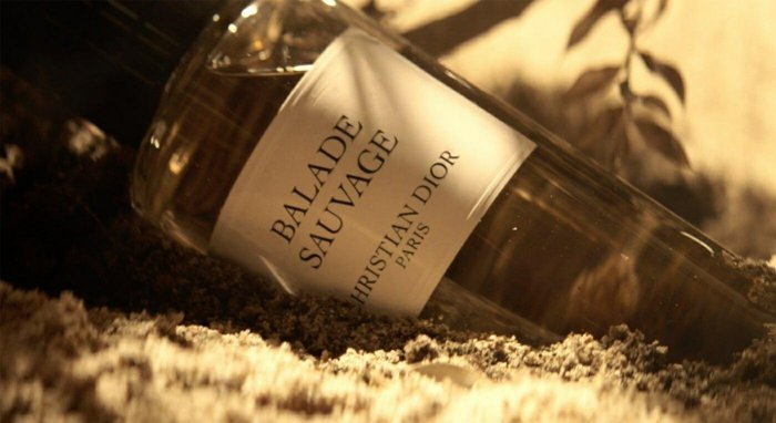 Dior 迪奧香氛世家Balade Sauvage 高級訂製香水125ml NG | Yahoo拍賣