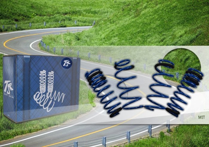 阿宏改裝部品 TSR 2014- 11代 ALTIS 短彈簧 降低短彈簧 3期0利率