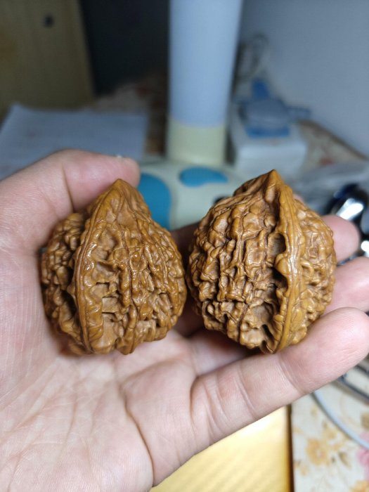 文玩核桃，尺寸卡46，～-22198 | Yahoo拍賣