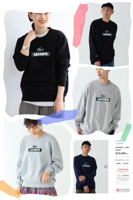 山東:LACOSTE × BEAMS / 別注Big Logo Sweat/限定販售毛圈logo