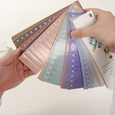 DIC Process COLOR GUIDE 1000 (10.11.12) 日本DIC四色色彩指南10.11