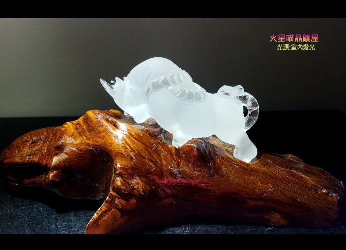 水晶牛-優惠推薦2026年6月| Yahoo拍賣
