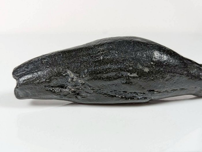 時代煎茶道具 抹香鯨 牙 茶合 82g 鯨歯 茶量 仙媒 河馬 Y03