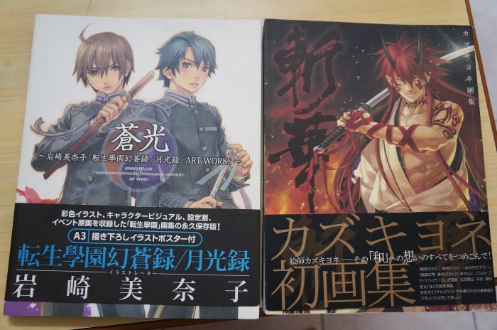 蒼光 : 岩崎美奈子『転生學園幻蒼録/月光録』art works 画集 Amazon.co.jp: 蒼光~岩崎美奈子『転生学園幻蒼録/月光録』ART