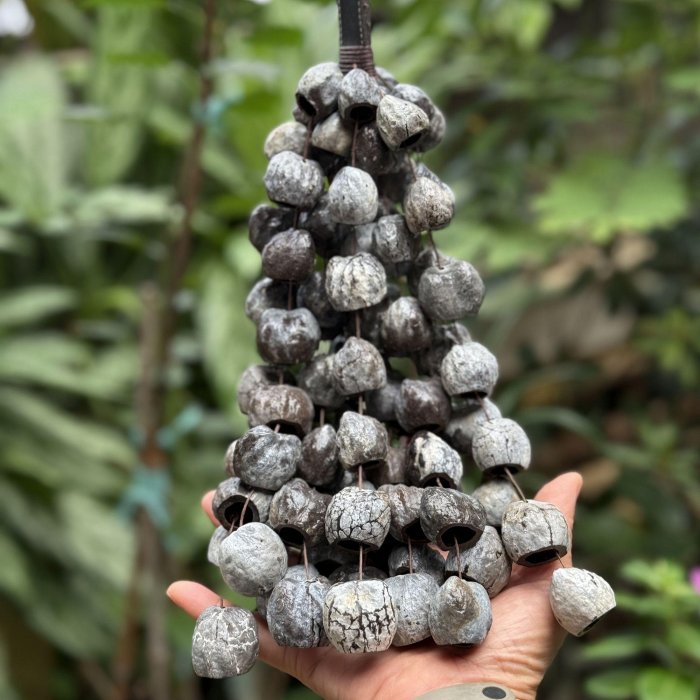 自然傳統樂器屋】手搖鈴串鈴石栗果殼手搖鈴音療冥想音樂療愈舒緩配樂