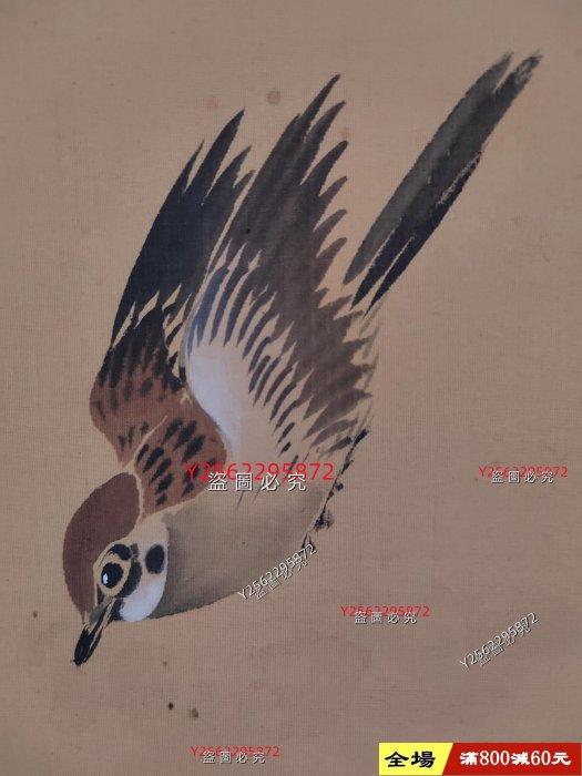酒井抱祝（1878 ）牡丹花鳥圖手繪古筆南畫日本回流掛軸國畫文人畫清代