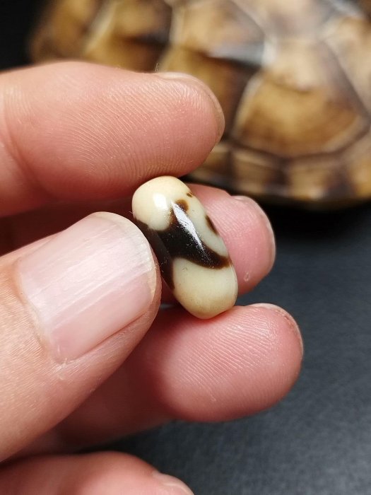 嚴選藏傳蓮花二眼天珠，瑪瑙打造，尺寸17.8X8.4，皮殼風化細膩油潤