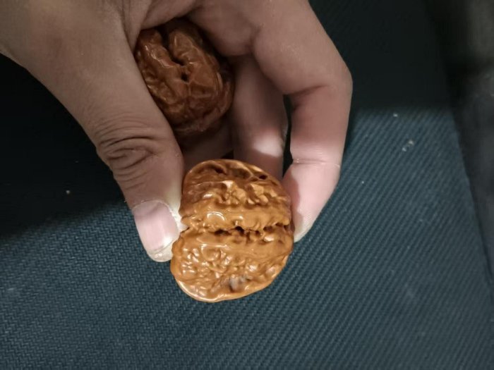 嚴選文玩核桃·蛤蟆頭青皮連體平皮41號4開背，品質上乘適合收藏家佩戴