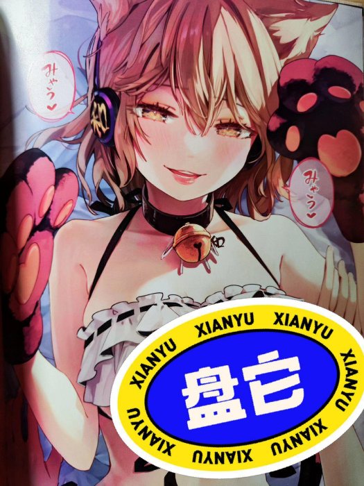 東方project同人畫集，畫師syuri22，日版原版，95新，包書紙保護，內頁