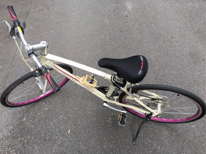 二手腳踏車/自行車/單車 捷安特Aluxx 6000，27段變速/公路車，台北面交