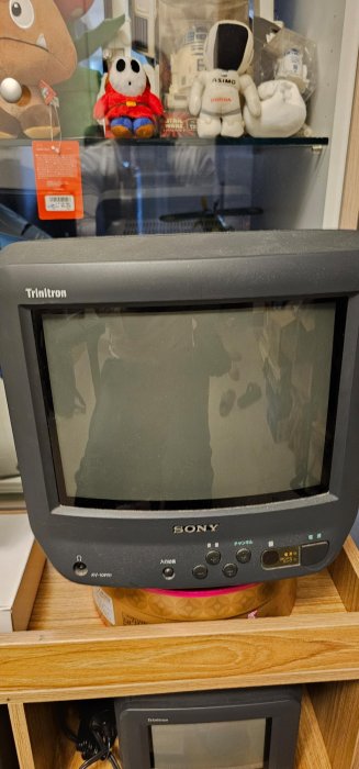 SONY KV-10PR1 trinitron crt 特麗霓虹10吋電視映像管印象管