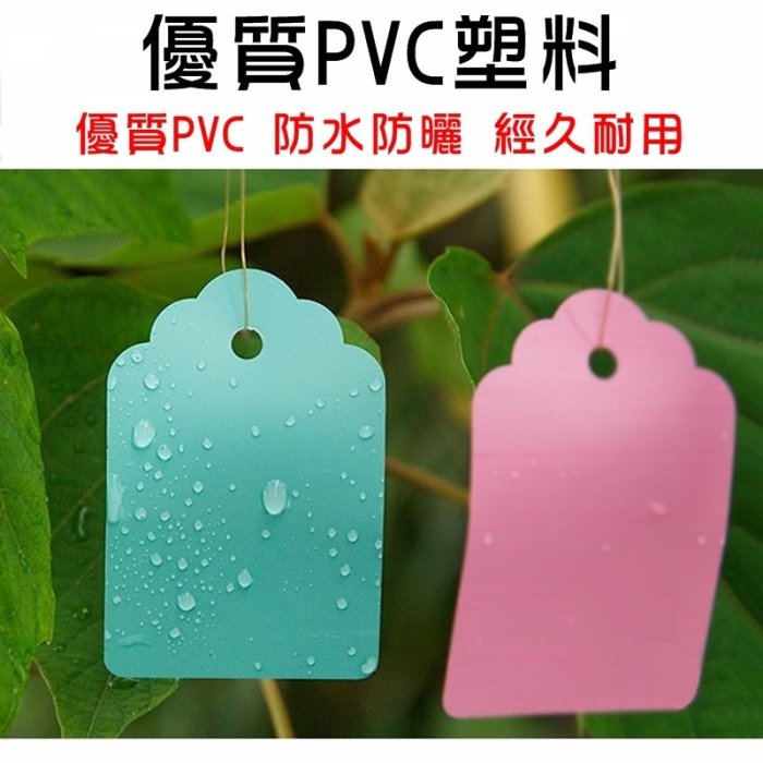 【珍愛頌】N073 PVC防水 (大號) 植物掛牌 100片 植物名牌 植物標籤 植物吊牌 花卉掛牌 花卉吊牌 多肉吊牌