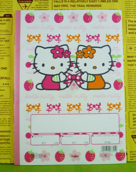 【震撼精品百貨】Hello Kitty 凱蒂貓~空白圖畫本~草莓【共1款】