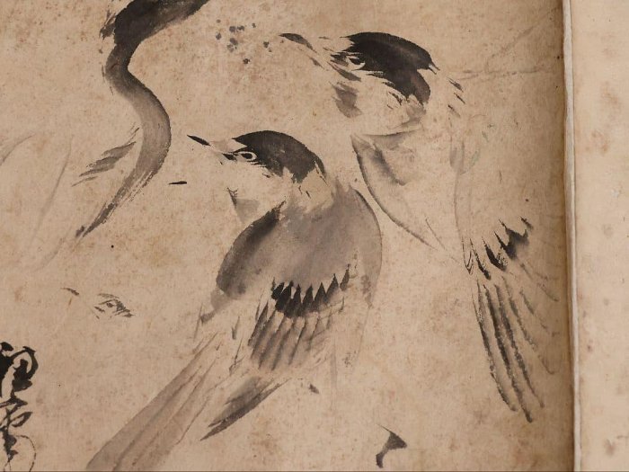 日本畫卷物美人畫人物花鳥紙本| Yahoo拍賣