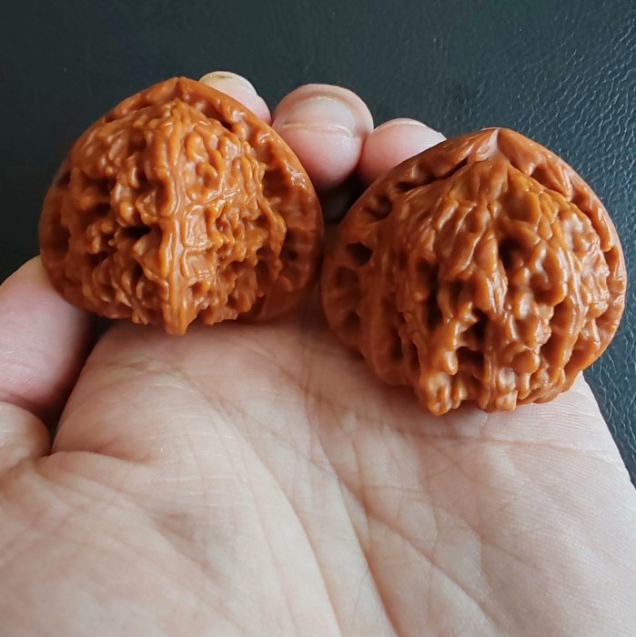 實屬難得的文玩核桃，大尺寸正三角白全品，糖三角，尺寸43.2mmmmmm，已