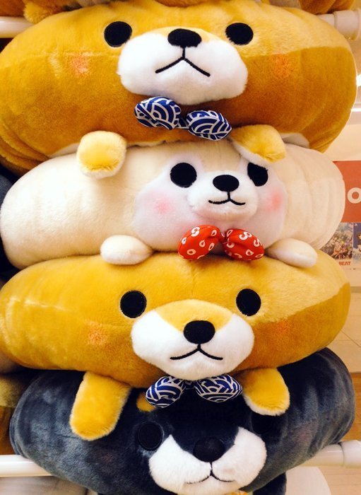 HENRY社長】日版Amuse豆柴三兄弟造型坐墊豆太郎抱枕靠枕麻糬柴犬忠犬