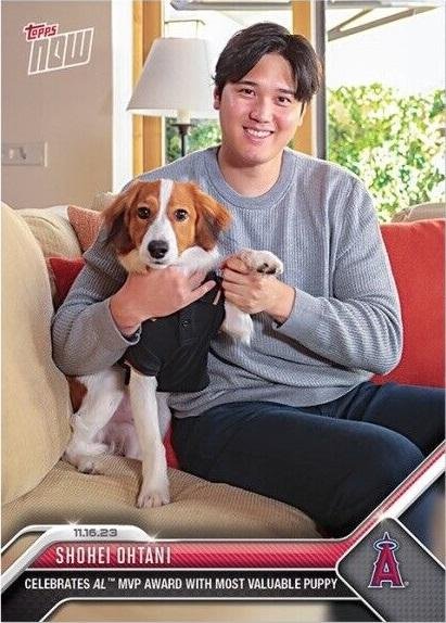 現貨》大谷翔平漂亮與狗狗雙MVP經典時刻紀念卡2023 Topps Now | Yahoo拍賣