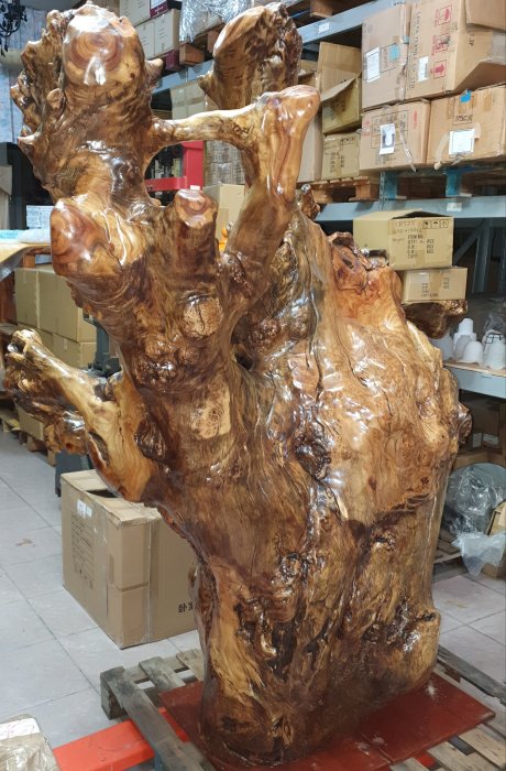 台灣高山樟木一體釘瘤樹頭根料天雕，樟木原貌