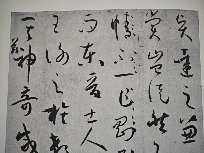 嚴選二玄社書跡名品叢刊之唐孫過庭書譜，平裝73頁，內頁保存完好書譜