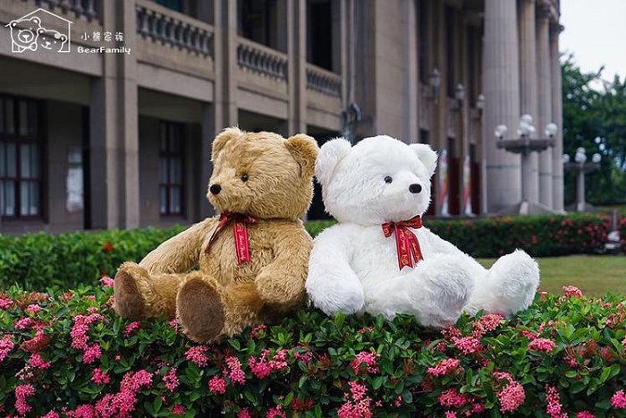 �զ⥿�P�j��100cm��u���}��Made in Taiwan�i¸�r*�K�O�N�g�d��*�x�W��@~*�p���a��*~