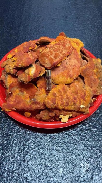 官方(公司貨)臺灣紅寶石高濃縮牛樟芝滴丸單瓶野生椴木子實體牛樟菇非稀釋款