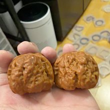 蛤蟆頭-優惠推薦2026年7月| Yahoo拍賣