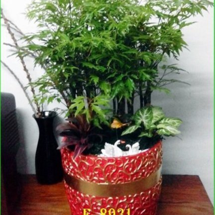 富貴樹 天然石？ 盆栽風 置物 4e75cb75-d56b-4029-9098-