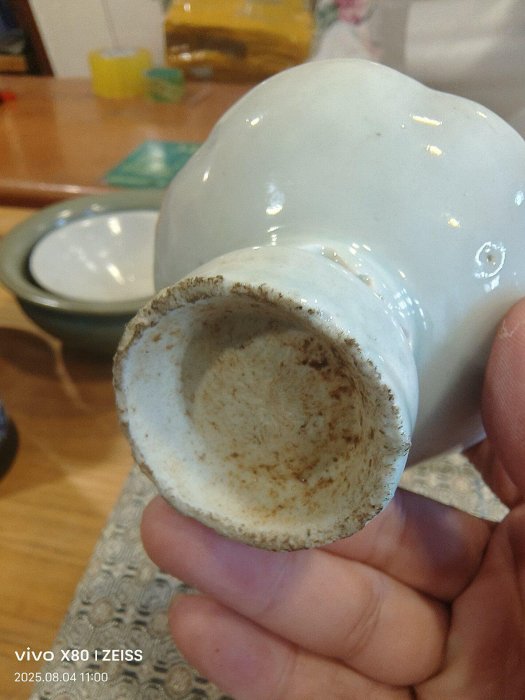 梅花型 影青台杯 宋時代 宋代 湖田窯 影青 青白磁花