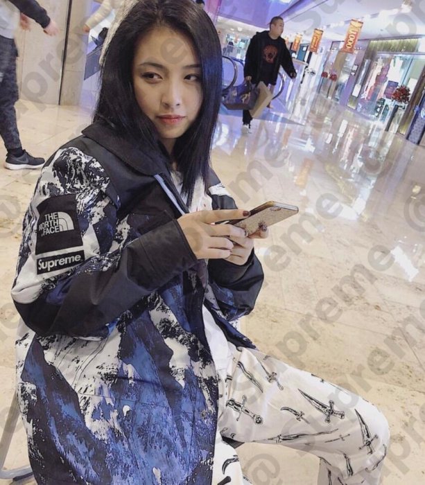 Supreme x TNF mountain parka 17AW 北臉聯名雪山衝鋒衣雪山情侶衝鋒衣