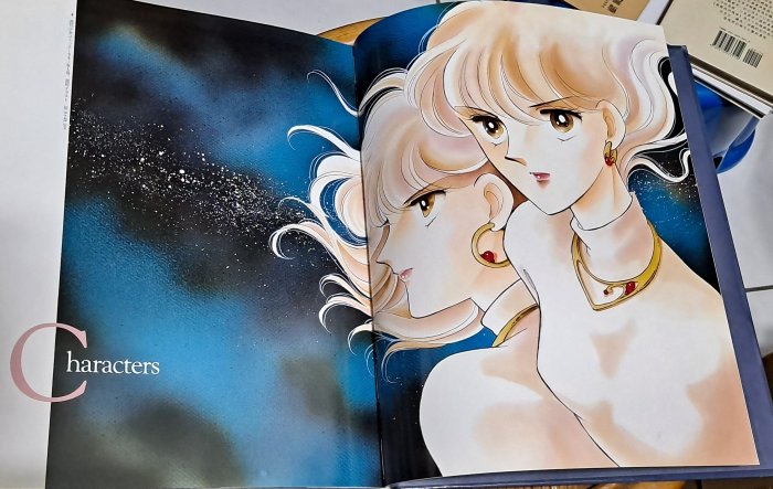 ◕‿◕):°*＊日文版畫冊:°* ～＊海の闇、月の影─イラスト集＊()～篠原