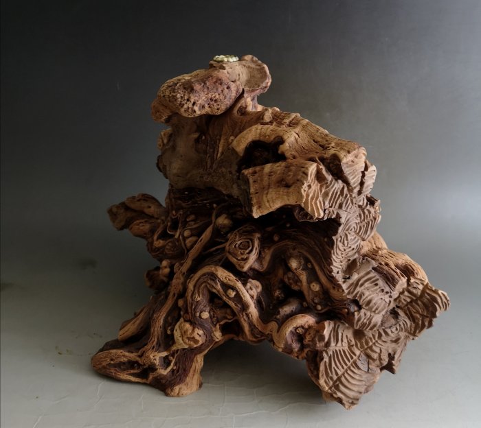 崖柏霸王根極品《天然隨形》倒流香擺件.帶瘤花.流煙漂亮，意境深遠