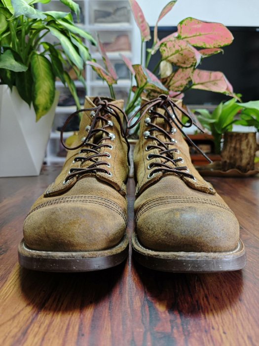 【新品 10EE 中敷き付】9874 廃盤 アイリッシュセッター 木村拓哉 新品 10EE 中敷き付】9874 廃盤 アイリッシュセッター 木村拓哉