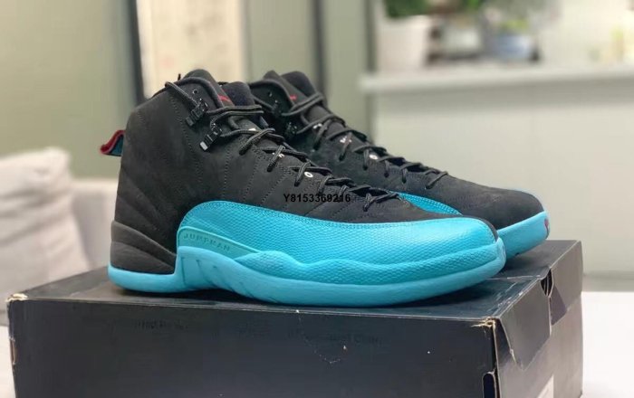 Air Jordan 12 