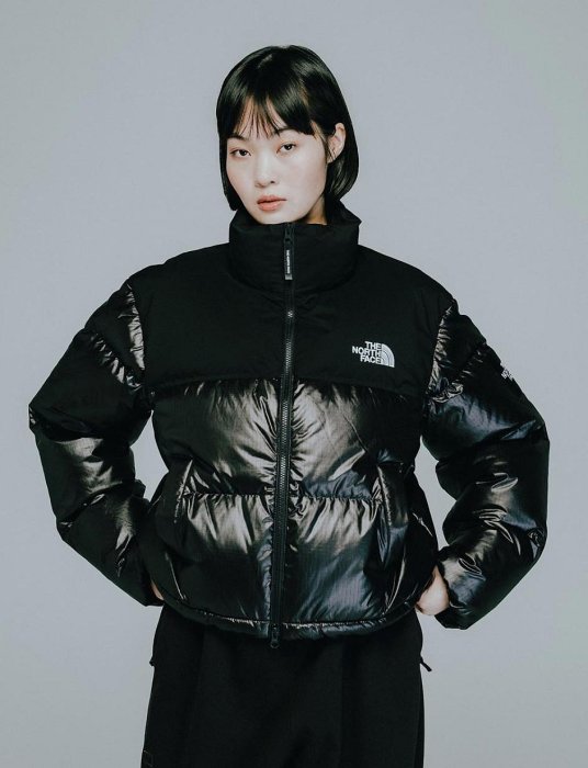 韓國限定THE NORTH FACE KOREA COLLECTION WL Nuptse Jacket 短 韓國限定THE NORTH FACE KOREA COLLECTION WL Nuptse Jacket 短