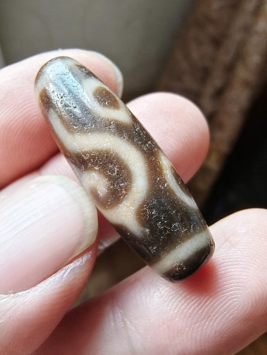 嚴選天緣法螺四眼天珠，尺寸34.5x11mm，風化自然飽和，適合收藏把玩天