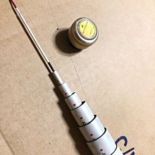 日本製DAIWA MS TOURNAMENT 銀影競技F.1 SPECIAL 中硬100 三十三尺多