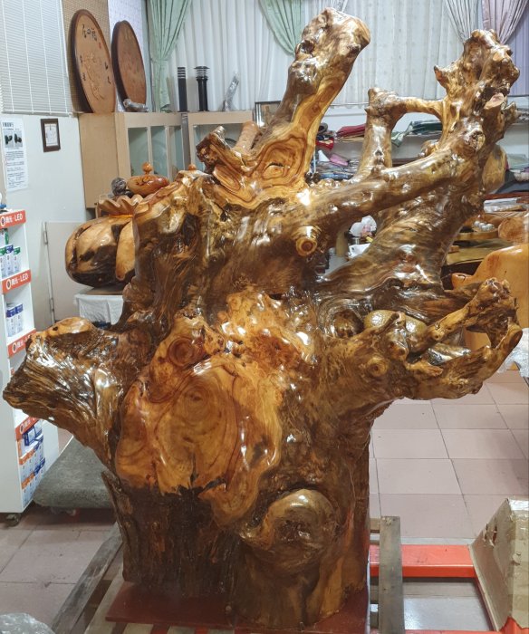 台灣高山樟木一體釘瘤樹頭根料天雕，樟木原貌