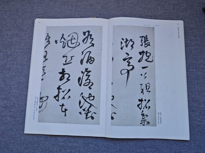 嚴選日本原版二玄社字帖《王鐸集》，專業推薦中國法書學習之選，附77頁