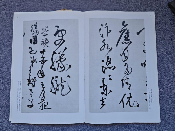 嚴選日本原版二玄社字帖《王鐸集》，專業推薦中國法書學習之選，附77頁