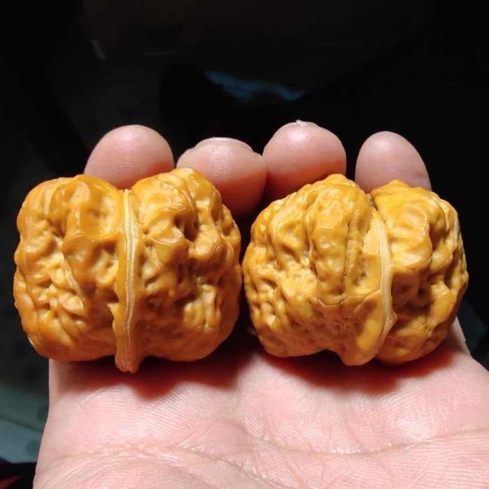 文玩鐵核桃,文玩核桃金蟾蛤蟆頭,云南野生鐵核桃,手玩把件,正版