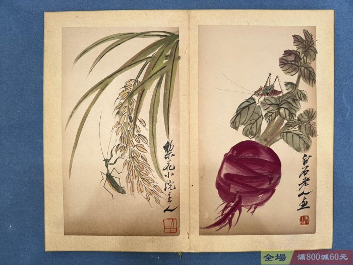 齊白石花卉草蟲冊共20張19張畫尺寸18×31 張大千題品相看圖實物拍攝