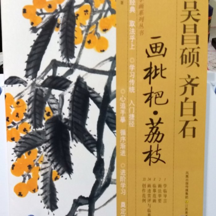 宇陞精品-K004-國畫書藉-學吳昌碩齊白石畫枇杷荔枝| Yahoo拍賣