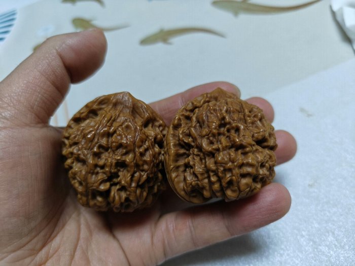 文玩核桃，尺寸卡46，～-22198 | Yahoo拍賣