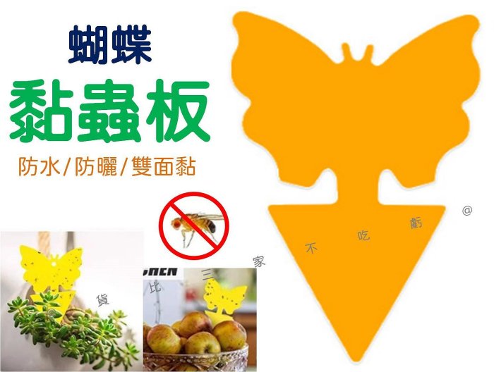 蠅飛蟲誘捕器的價格推薦 - 2025年8月 | 比價比個夠BigGo Best way to thaw bread