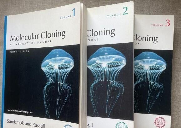 Molecular Cloning A Laboratory Manual 分子克隆實驗指南第三版