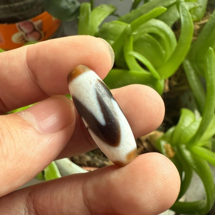 嚴選虎牙天珠精致天然裂紋添古謠10×45mm 天然天珠虎牙天然裂痕| Yahoo拍賣