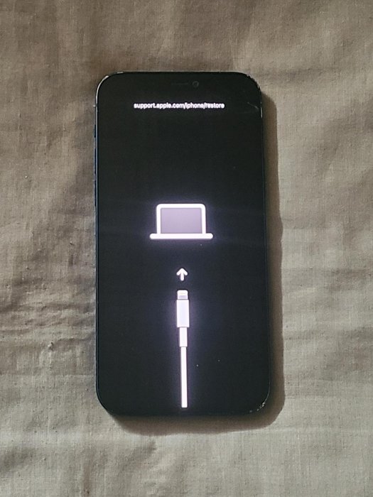 Apple  iPhone  12  零件機
